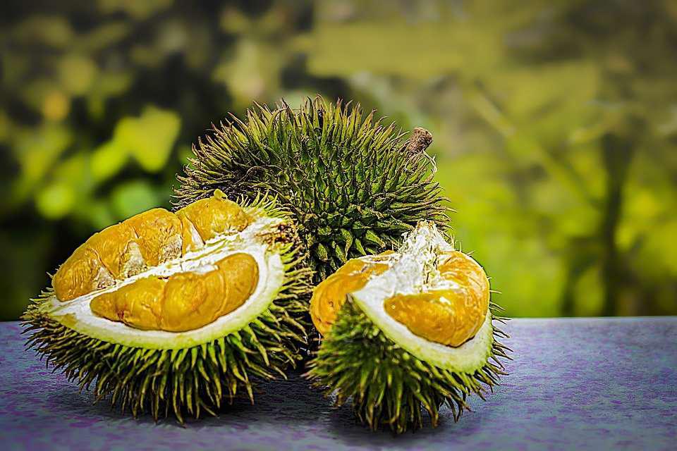 Unusual Aphrodisiacs From Asia